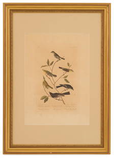 After John James Audubon (US, 1785-1851): After John James Audubon(American, 1785-1851)"Little Tyrant Flycatcher. Small Headed Flycatcher. Blue Mountain Warbler. Bartram's Vireo. Short-legged Pewee. Rocky Mountain Flycatcher. No.87, Plate CCC