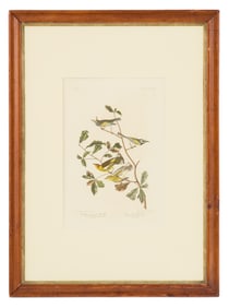 After John James Audubon (US, 1785-1851)