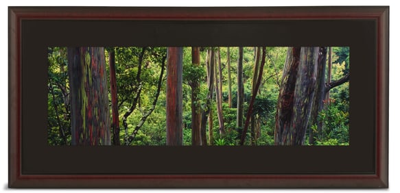 Peter Lik (Australian, b. 1959)