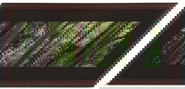 Peter Lik (Australian, b. 1959): Peter Lik(Australian, b. 1959)"Painted Forest"chromogenic print on acrylic mountfrom an edition of 950, this numbered 137 on accompanying Certificate of Authenticity from the artist.Matted, glazed and