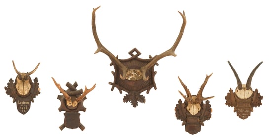 Collection of Five Black Forest Mounted Antlers