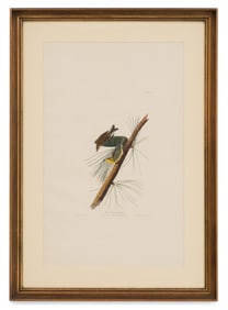 After John James Audubon (US, 1785-1851)