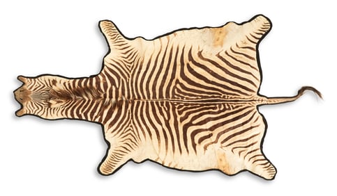 Zebra Hide Rug