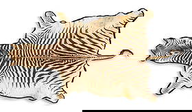 Zebra Hide Rug: Zebra Hide Rug70" x 111"