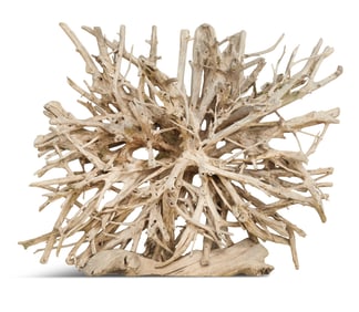 Monumental Teak "Driftwood" Sculpture