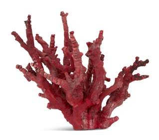 Red Coral Specimen