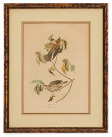 After John James Audubon (American, 1785-1851)