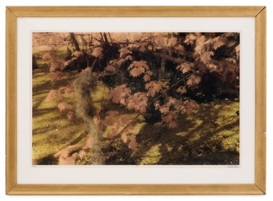 Harriet Blum (American/New Orleans, b. 1949)