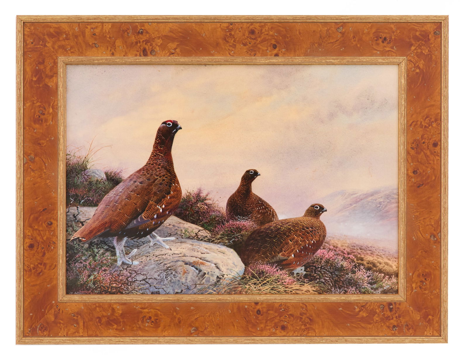 Peter Allis (British, b. 1944): Peter Allis(British, b. 1944)"Trio of Red Grouse"watercolor on paper affixed to boardsigned lower left.Framed.sight 14-1/4" x 20-3/4", framed 20-1/2" x 27" Provenance: The Collection of Deborah &