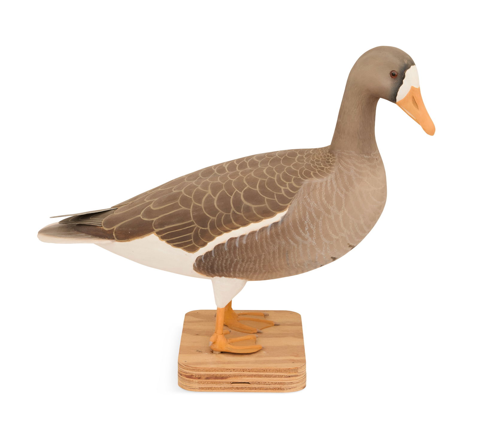 Curtis Chauvin (USA/Raceland, LA, 1927-2006): Curtis Chauvin(American/Raceland, LA, 1927-2006)"Whistling Duck Decoy", 2006carved and painted wood with mixed mediasigned and dated en verso of webbed foot.17" x 22" Provenance: The Collection of Nor