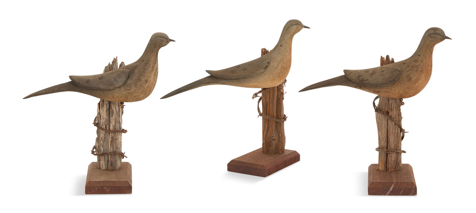 Chris Andrews (USA/Magnolia, TX, contemporary): Chris Andrews(American/Magnolia, TX, act. Late 20th/Early 21st Centuries)"Mourning Dove Decoys", 2009three carved and painted sculptures, perched on salvaged wood, and barb wire mounteach signed, date