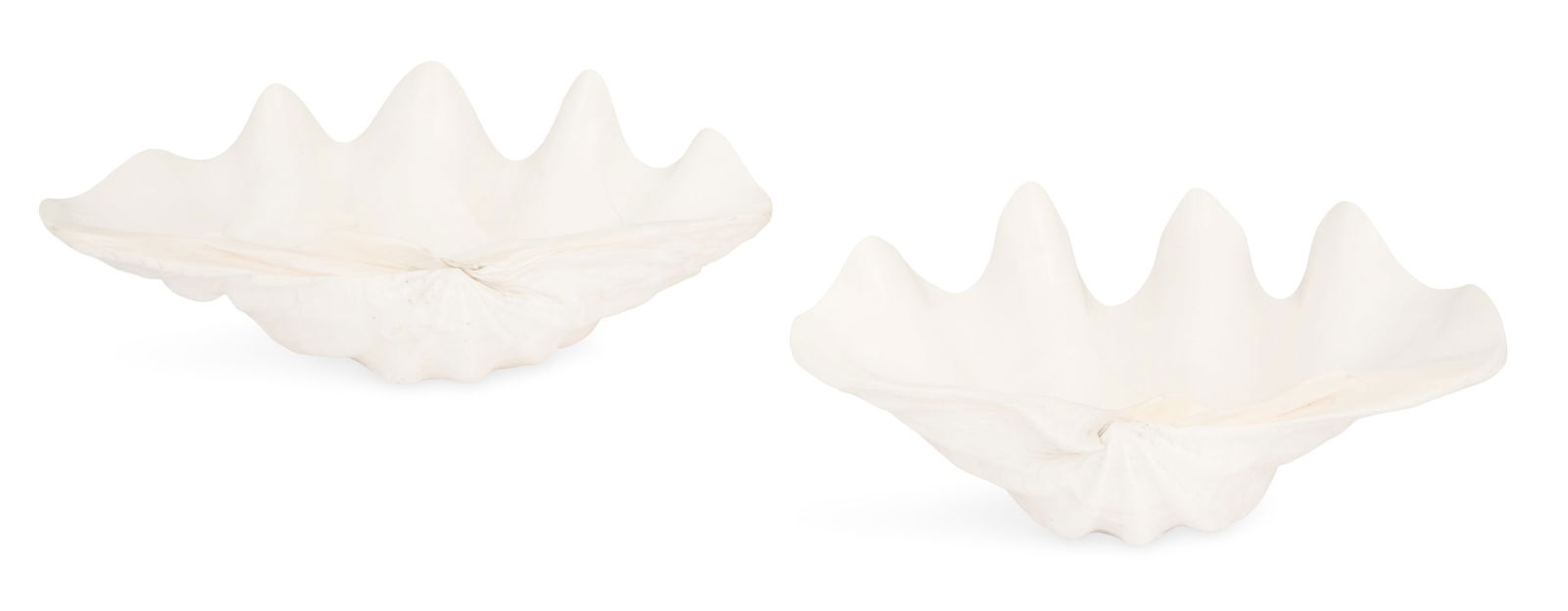 Two Natural Clam Shells: Two Natural Clam Shellsthe polished shells with pale blush interiors and layered exteriors, the bottoms cut to sit flat.h. 4-1/2" to 6-3/4", w. 15-1/2" to 16-1/4", d. 8-3/4" to 9-3/4"