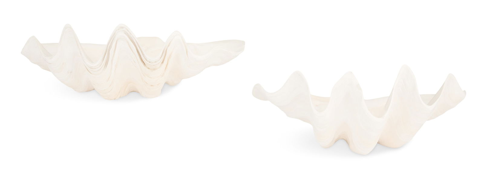 Two Natural Clam Shells - 3