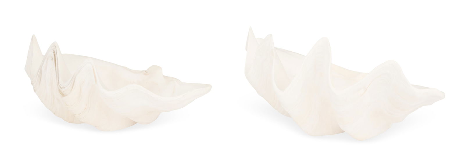 Two Natural Clam Shells - 4