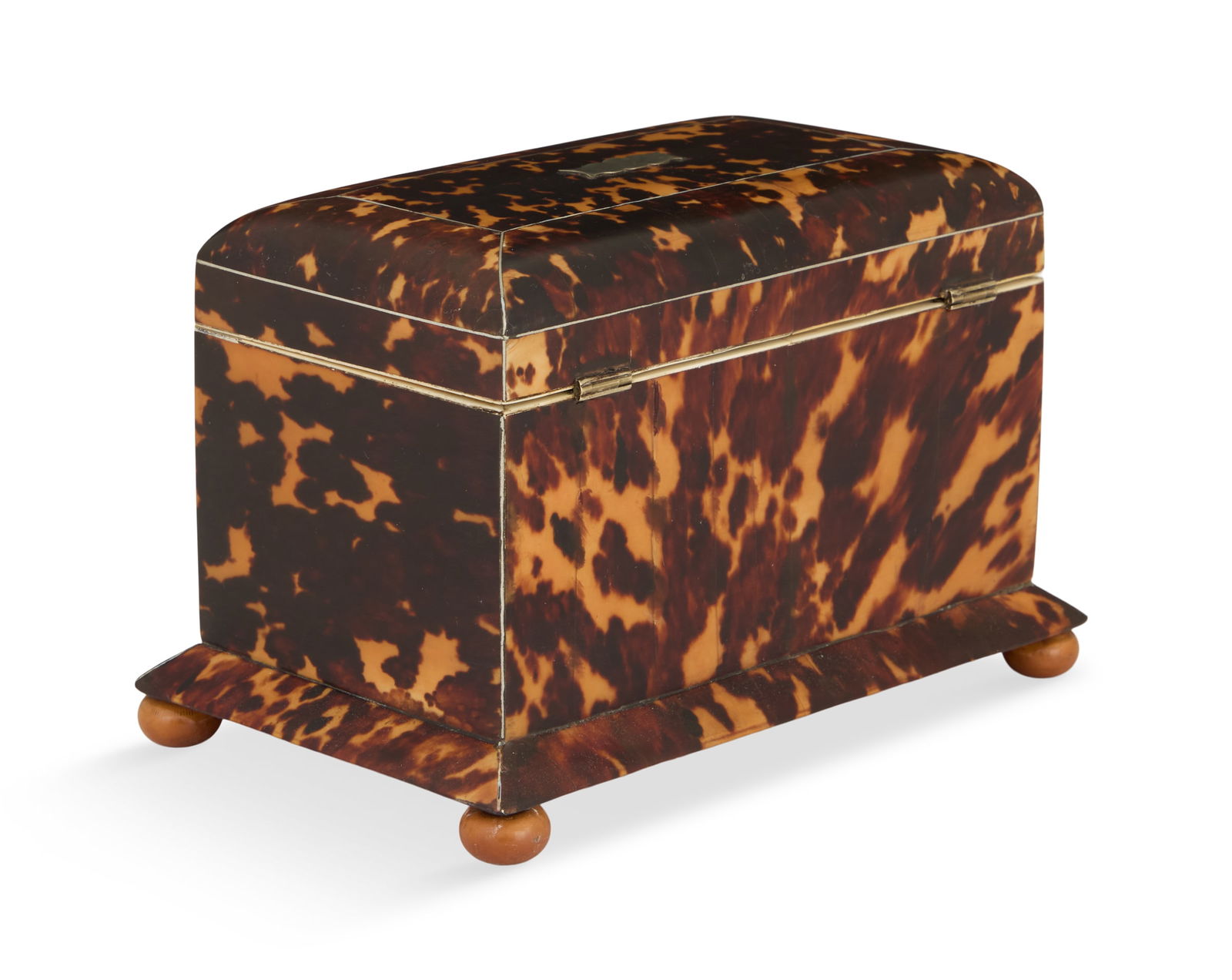 William IV Tea Caddy - 5