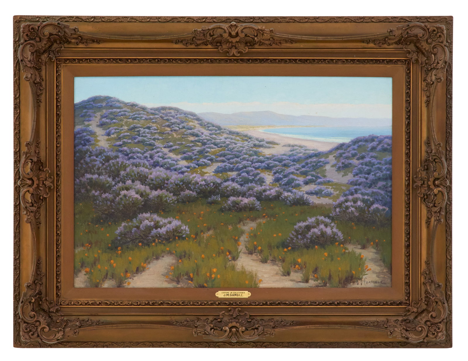 John Marshall Gamble (US/California, 1863-1957) (1 of 3)