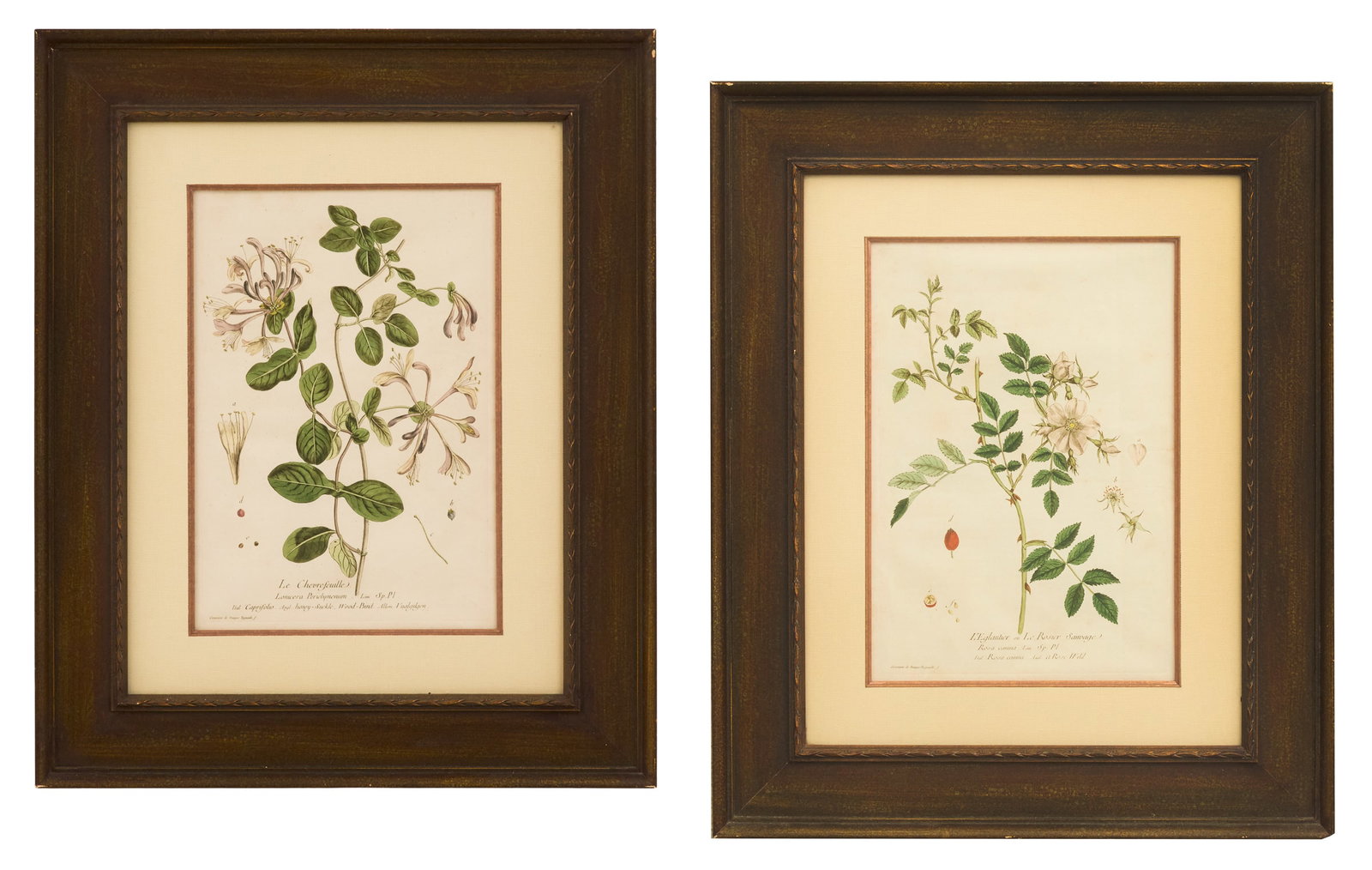 Two French Hand-Colored Engravings (1 of 5)