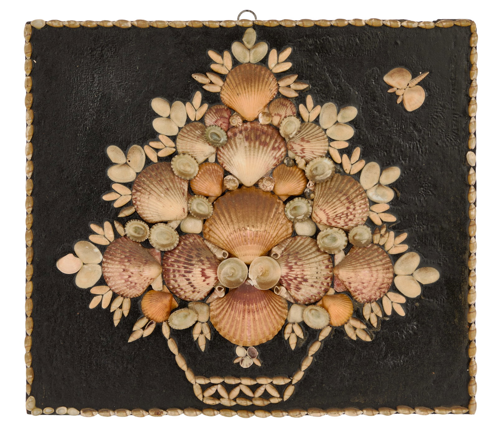 Coquillage Panel of a Basket of Flowers or Fruit: Coquillage Panel of a Basket of Flowers or Fruit the black panel lined with scallops, cowries and other shells. h. 16", w. 18-1/4" Provenance: The collection of Clarence G. Ochsner, Wabasha,