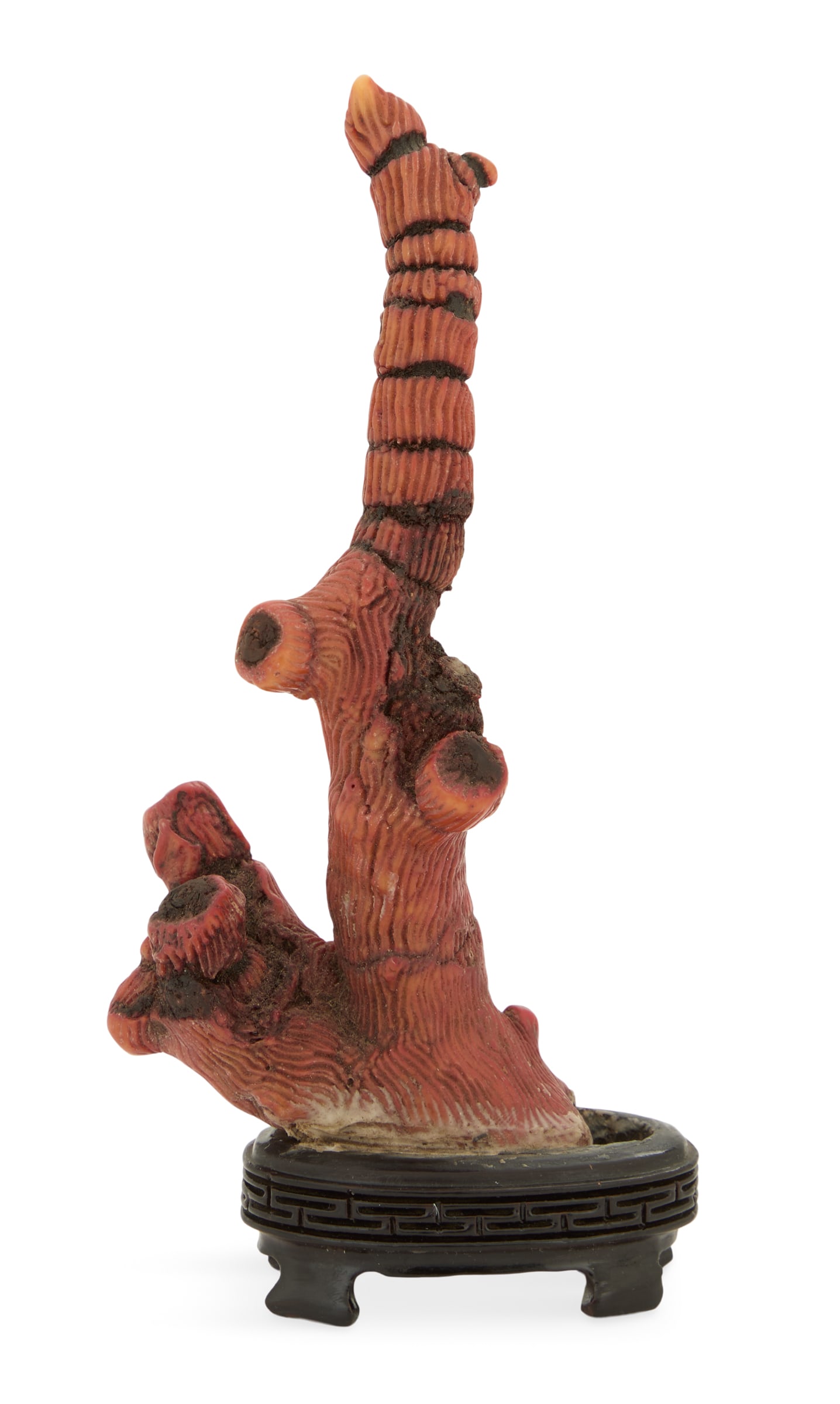 Red Coral on Stand (1 of 2)