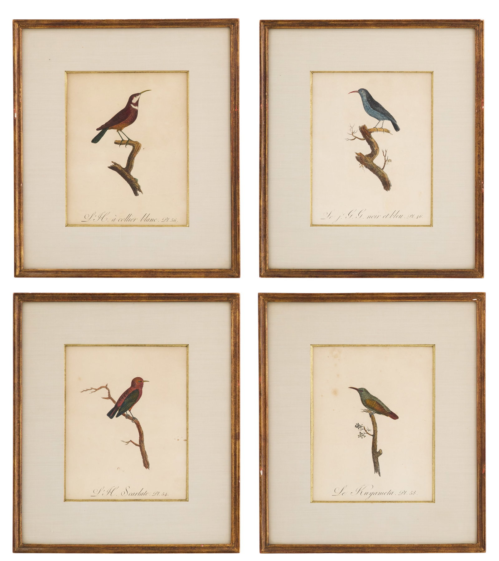 Four French Engravings of Hummingbirds: Four French Hand-Colored Engravings of Hummingbirds 19th century. Matted, glazed and framed alike. each sight 9-1/2" x 7-1/2", framed 15-1/4" x 13-3/4" Provenance: The collection of Clarence G. Ochsne