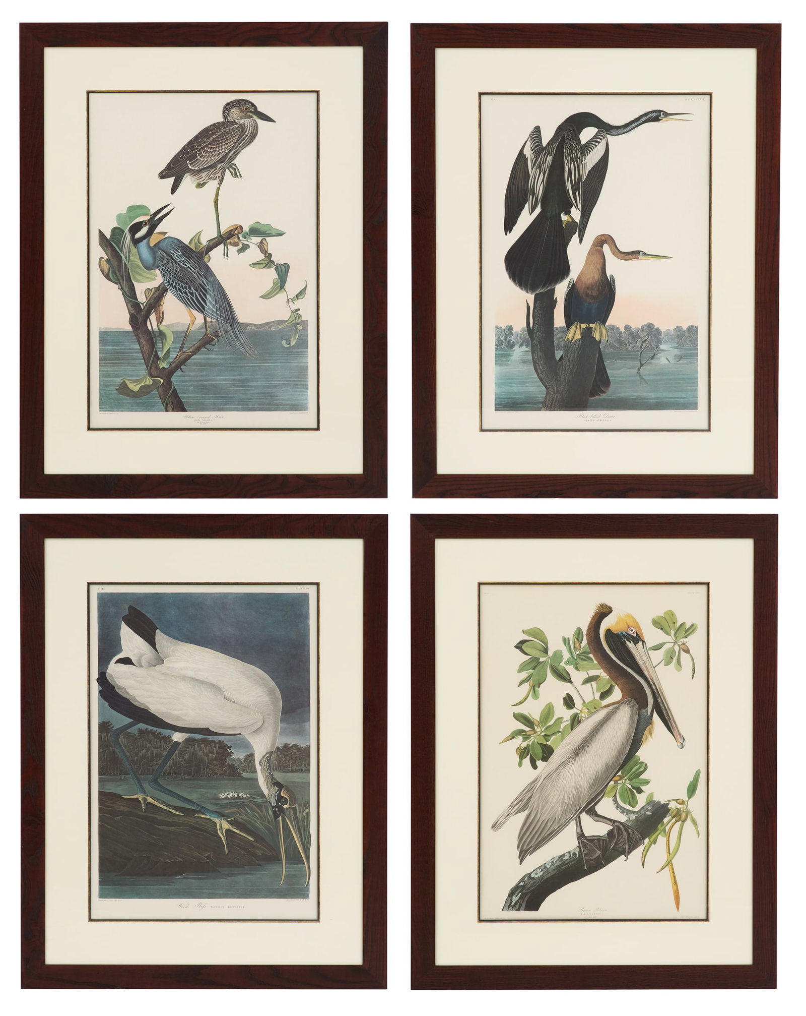 After John James Audubon (American, 1785-1851) (1 of 9)