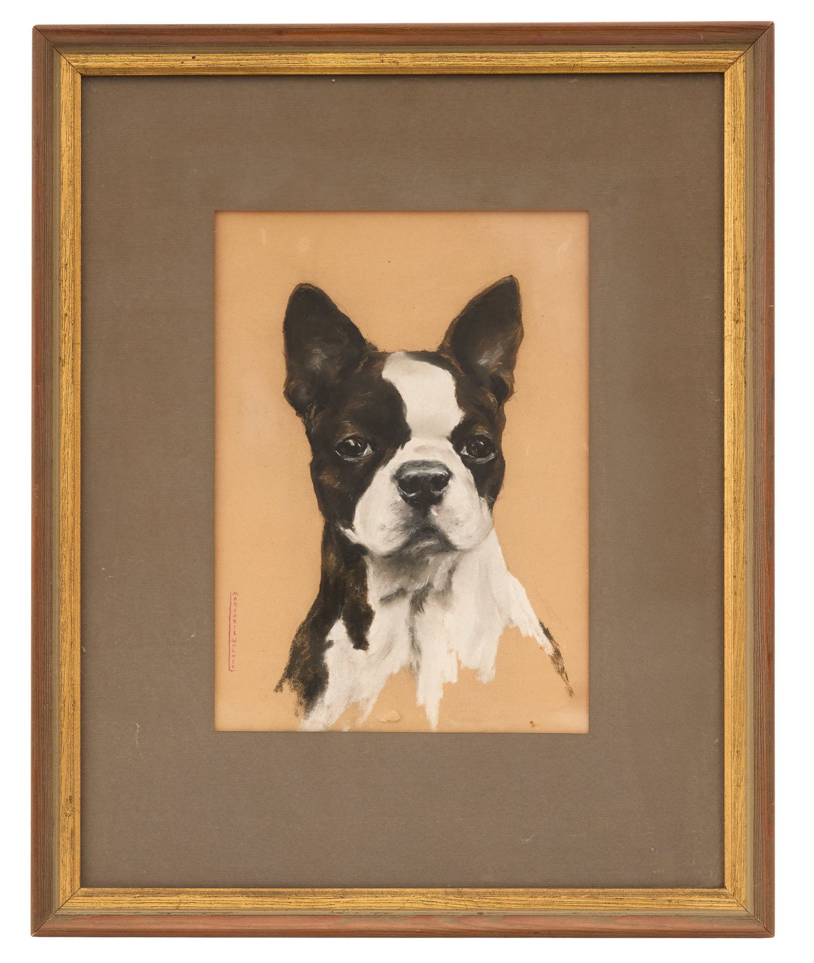 Marjorie Walker (American, 1906-1992): Marjorie Walker (American, 1906-1992) "Boston Terrier" pastel on paper signed along lower left edge. Matted, glazed and framed. sight 10-3/4" x 7-3/4", framed 19" x 15-1/4"