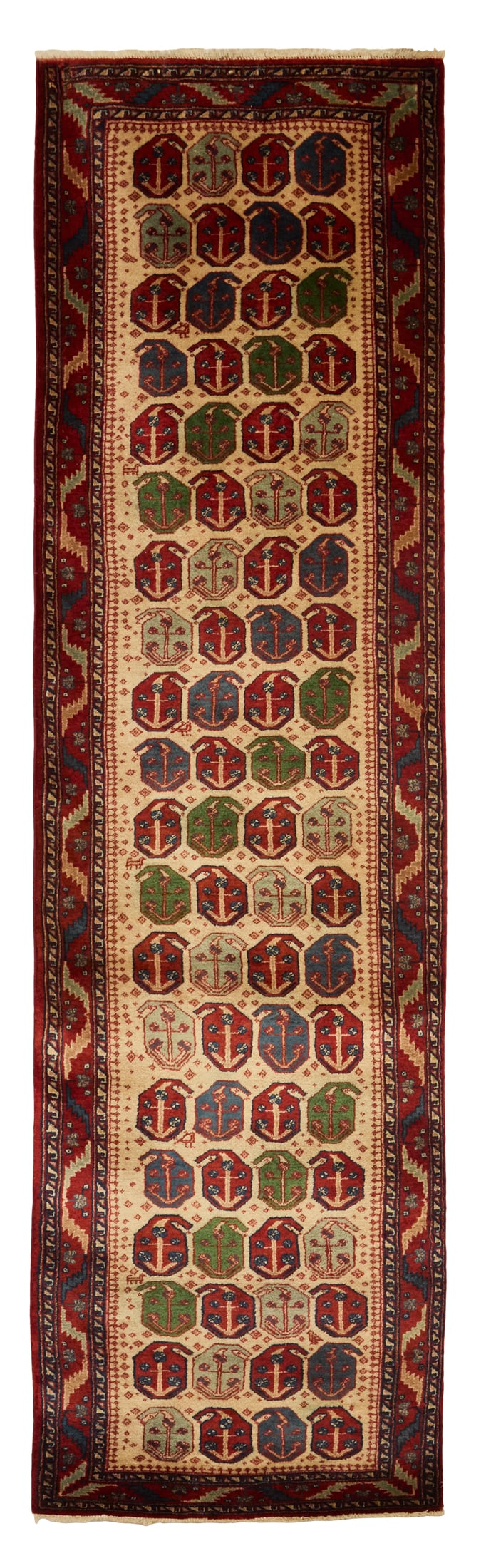Northwest Persian Runner (1 of 1)