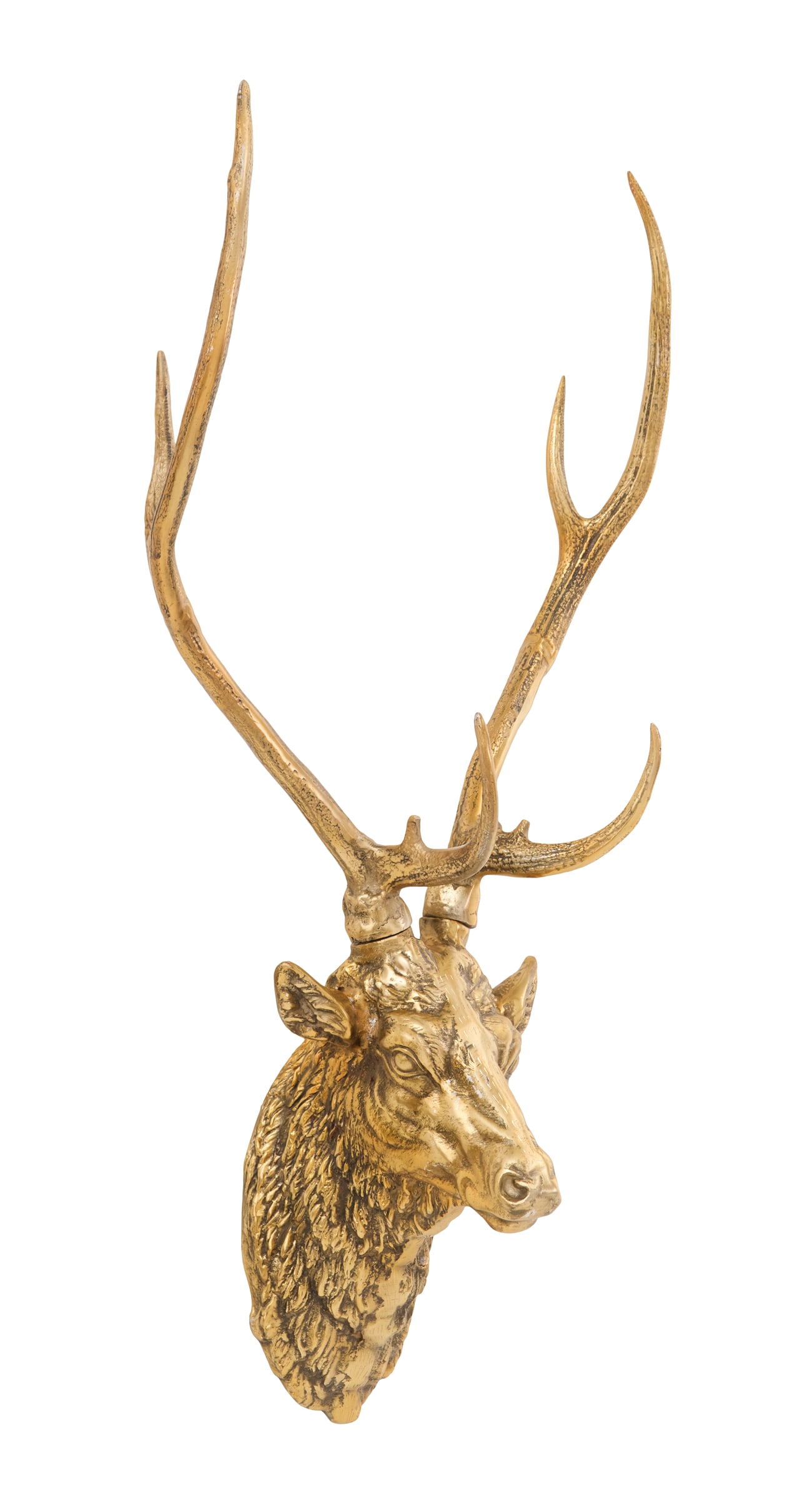 Cast-Brass Stag's Head (1 of 3)