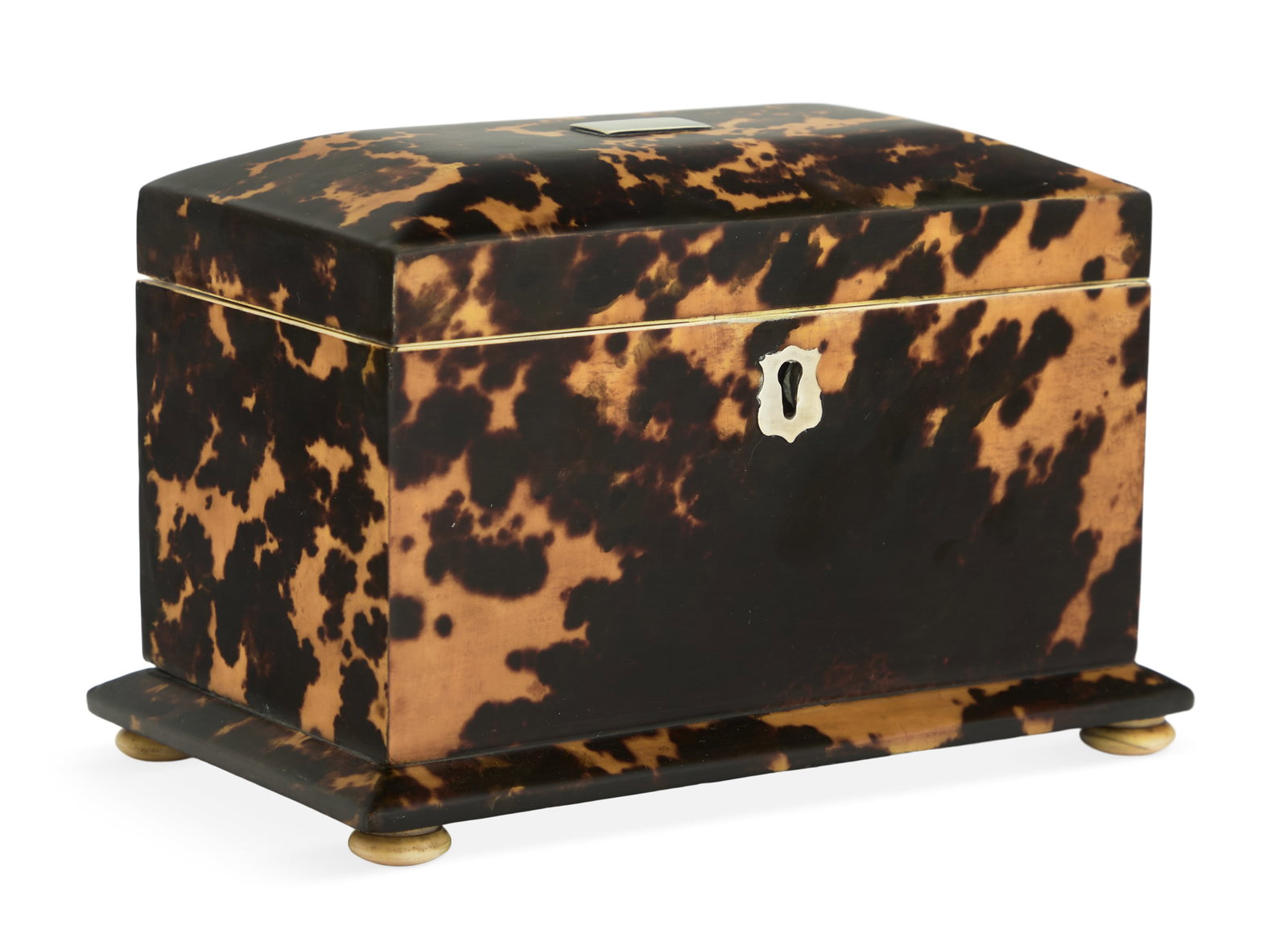 William IV Two-Compartment Tea Caddy (1 of 4)