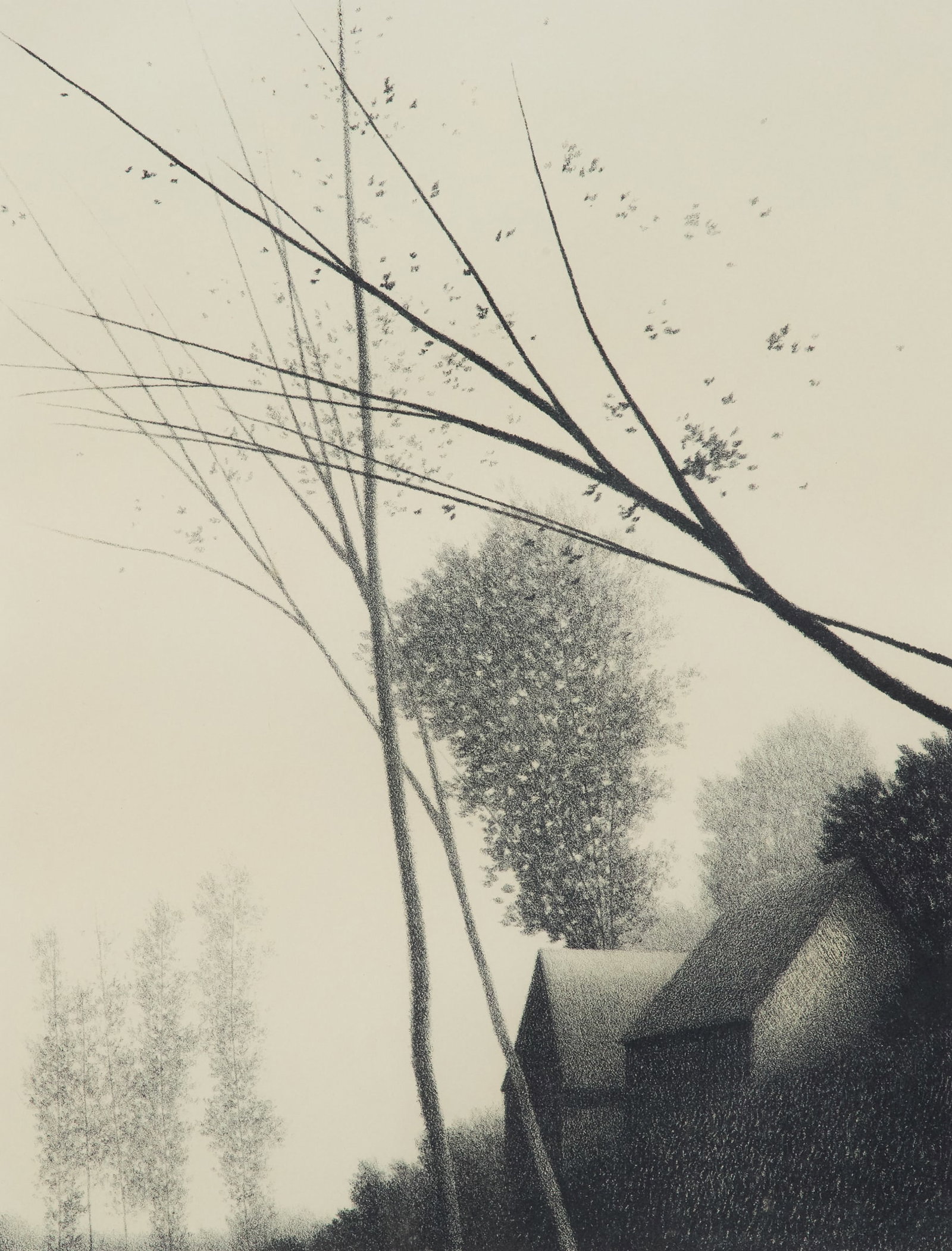 Robert Kipness (US, b. 1931): Robert Kipness (American, b. 1931) "Windswept", 1976 lithograph pencil-signed lower right and numbered "156/250" lower left, printed by George Miller and Sons, New York, New York, a "Merrill Chase Gal