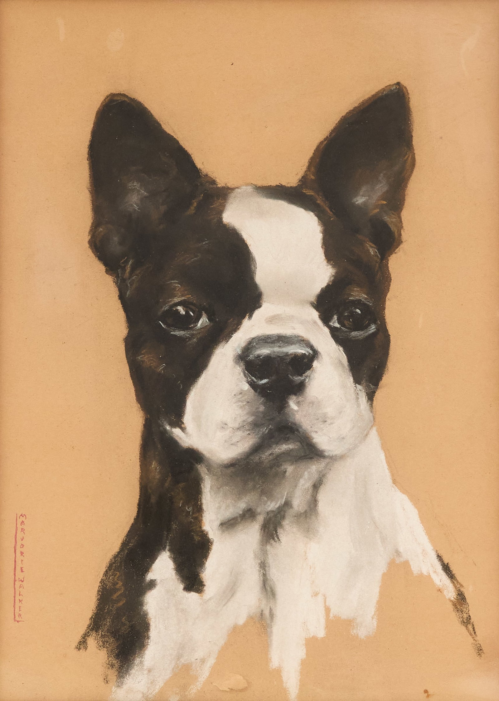 Marjorie Walker (American, 1906-1992): Marjorie Walker (American, 1906-1992) "Boston Terrier" pastel on paper signed along lower left edge. Matted, glazed and framed. sight 10-3/4" x 7-3/4", framed 19" x 15-1/4"