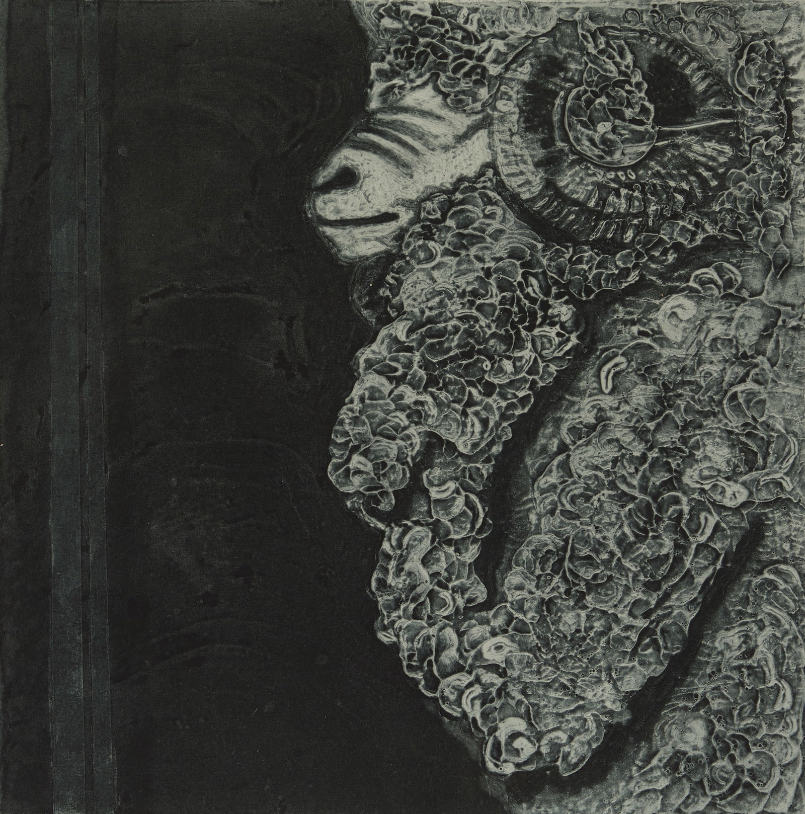 Dorothy Furlong-Gardner (American, 20th Century): Dorothy Furlong-Gardner (American, 20th Century) "Ram", 1981 aquatint on paper signed lower right, titled and dated lower center, and numbered "2/20" lower left. Unframed. sheet 16" x 15"