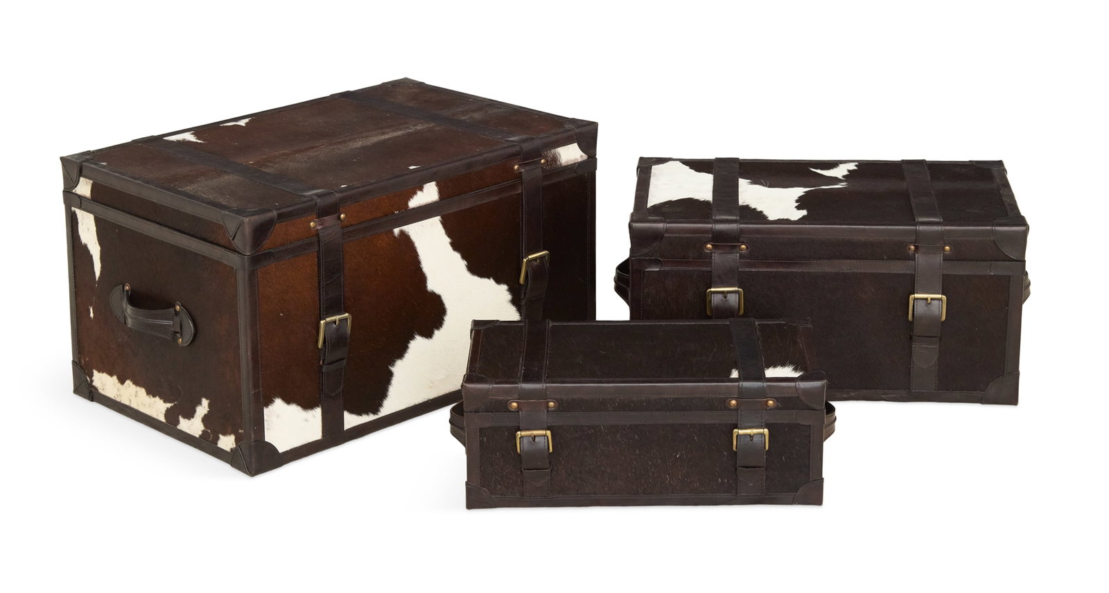 Set of Three Hide and Leather-Covered Trunks (1 of 10)