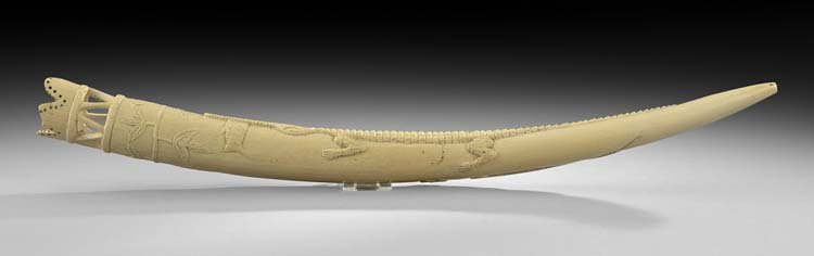 African Carved Ivory Tusk: African Carved Ivory Tusk, first half 20th century, surface-carved with a crocodile and fish and a frog with a snake, l. 23-3/4".