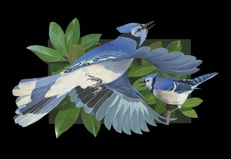 Jack Smith (American/Louisiana, Contemporary): Jack Smith (American/Louisiana, Contemporary), "Blue Jays", acrylic on shaped wood panel, signed and dated lower right "Jack Smith '96", signed, titled and dated en verso, 28-1/2" x 53".