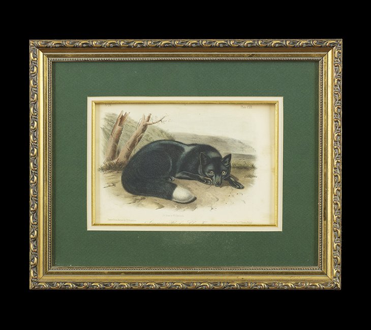 After John James Audubon (American, 1785-1851): After John James Audubon (American, 1785-1851), collection of four hand-colored lithographs, printed by J. T. Bowen, each sight 5-3/4" x 8-3/4" and 6-1/2" x 9". All glazed, matted and framed.