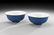 Pair of Chinese "Eggshell" Porcelain Bowls