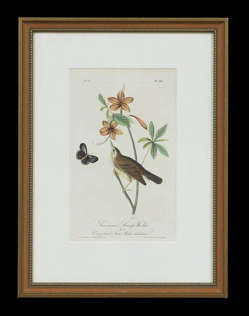 After John James Audubon (American, 1785-1851): After John James Audubon (American, 1785-1851), suite of six hand-colored lithographs, from Birds of America, printed and hand-colored by John T. Bowen, Philadelphia, Pennsylvania, 1840, sight 10" x 6