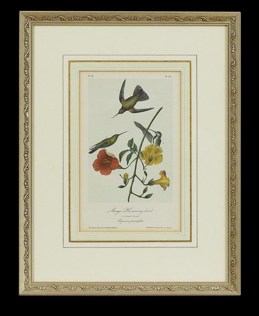 After John James Audubon (American, 1785-1851): After John James Audubon (American, 1785-1851), suite of twelve lithographs from Birds of America, printed and colored by John T. Bowen, Philadelphia, Pennsylvania, 1840, each sight 10" x 6". Handsome