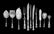 299 Pcs. Watson "Wild Rose" Sterling Flatware - 3