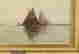 item-35204042=2