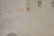 Chinese School (18th/19th Century) - 9