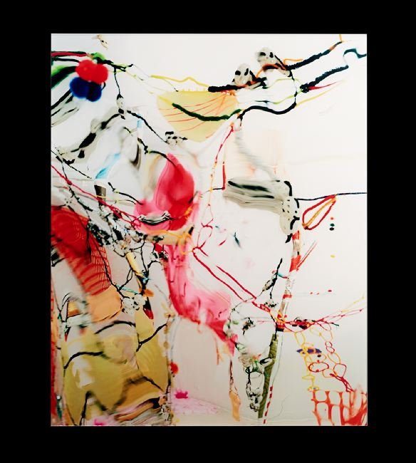 Sally Heller (American/New Orleans, Contemporary): Sally Heller (American/New Orleans, Contemporary), "From the Series Uprooted", 2008, ed. 1/7, c-print, 20" x 25-1/2". Glazed. To be sold for the benefit of WLAE. Local artist Sally Heller is well know