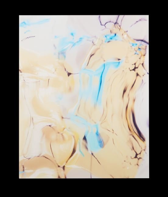 Sally Heller (American/New Orleans, Contemporary): Sally Heller (American/New Orleans, Contemporary), "#1 From the Series Calamitrees", 2012, c-print, 19-1/2" x 24". Glazed. To be sold for the benefit of WLAE. Formed from a similar concept as her Upro