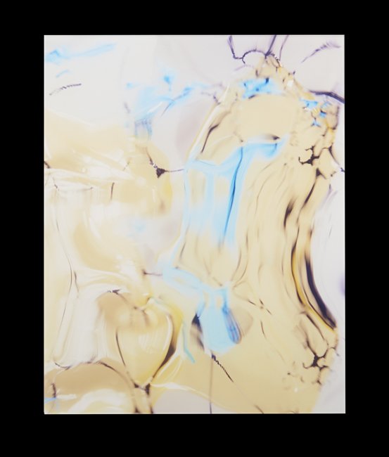 Sally Heller (US/New Orleans, Contemporary): Sally Heller (American/New Orleans, Contemporary), "From the Series Uprooted", 2008, ed. 1/7, c-print, 20" x 25-1/2". Glazed. To be sold for the benefit of WLAE. Local artist Sally Heller is well know