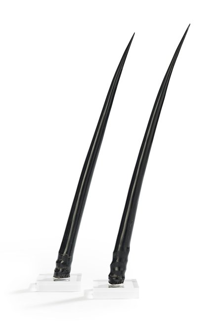 Pair of Polished Gemsbok Horns on Stands (1 of 1)