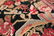 Antique Caucasian Karabagh runner, Size 3'4" X 13'5" - 4