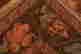 item-97149098=4
