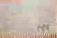 item-131756241=5