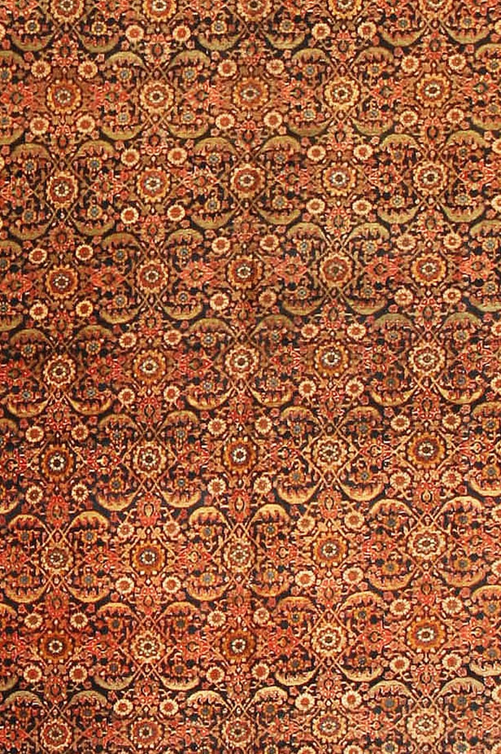 No Reserve - Antique Persian Bidjar Gallery Rug 21 ft 5 in x 7 ft 9 in (6.53 m x 2.36 m) (1 of 8)